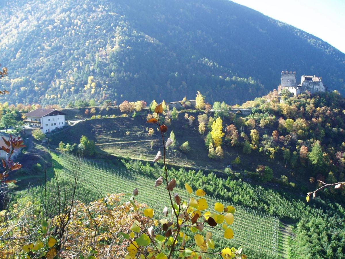 Schlosshof Zu Montani Morter Екстериор снимка