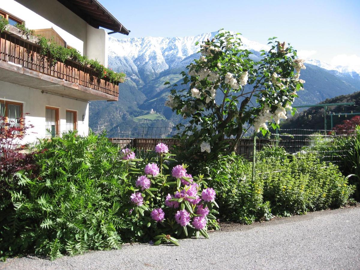 Schlosshof Zu Montani Morter Екстериор снимка